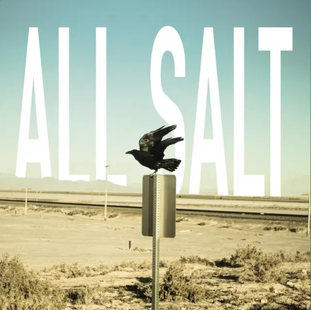 1 Falllift All Salt