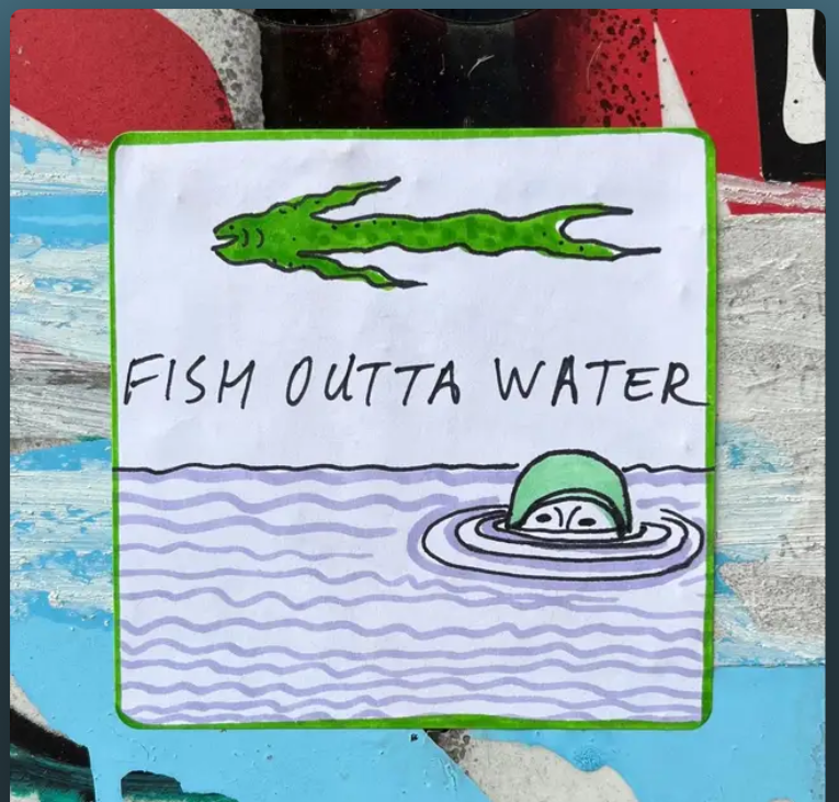 Fish Outta Water The Sammiesthumbnail image