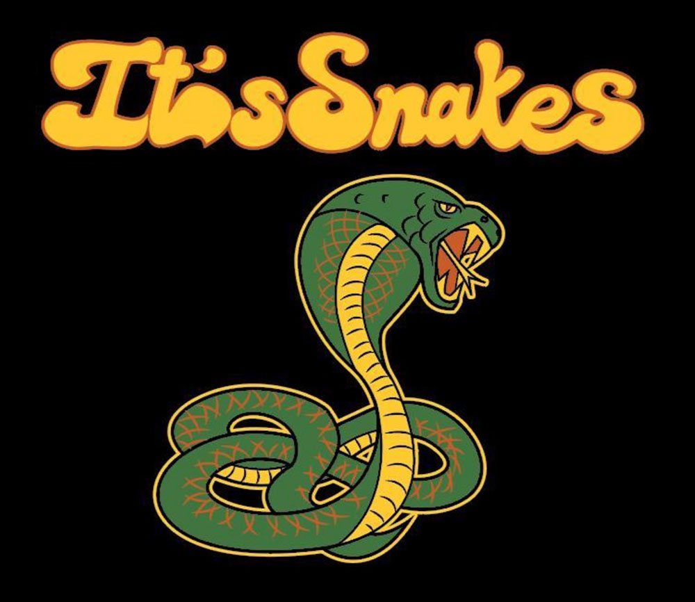 ALTERNATIVE ROCK | IT’S SNAKES | LX