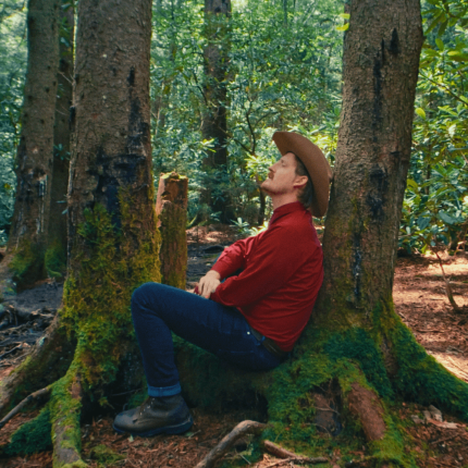 Coughing Dove 1 r75nfc24ev46mi895kl53i16blvzuff44dggw61i6k